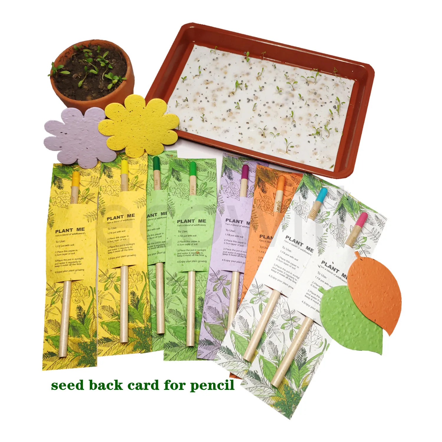 
Plantable Seed Pencil Back Card with seeds and Pencil 