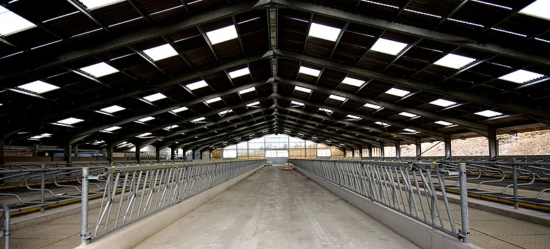 Cow Shed Farm Sheds Prefabricated Steel Structure Building Design Cow Farm Shed