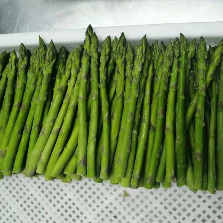 2022 new crop Fresh Frozen Premium Healthy Delicious Frozen Green Asparagus Frozen Vegetables
