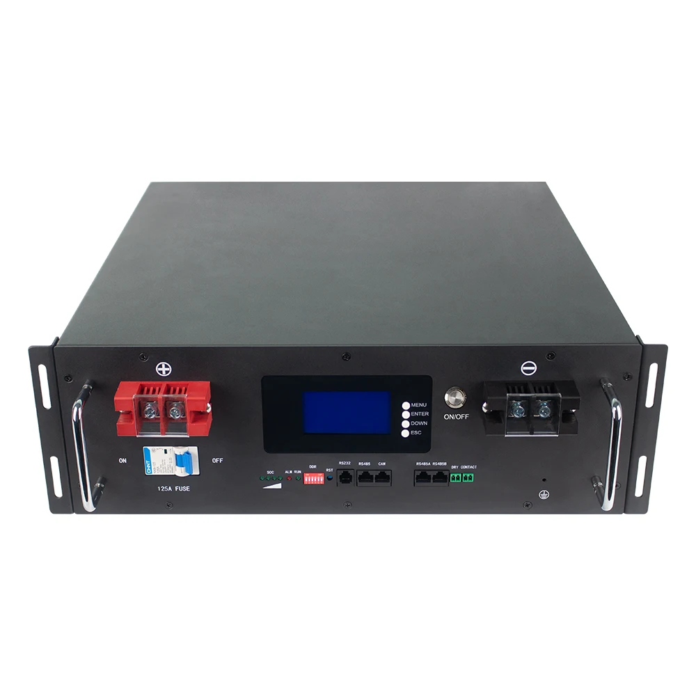 24V 48V 50Ah 100ah 200Ah 300Ah LiFePO4 LFP Lithium Ion Iron Phosphate Battery Rack Mounted Energy Storage Battery Pack