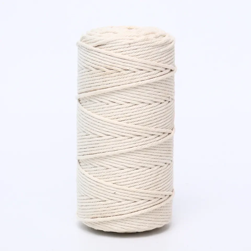 Bioserica Era High quality Macrame Cord 3mm 100% Natural Cotton Rope Twine String for DIY Craft Knitting