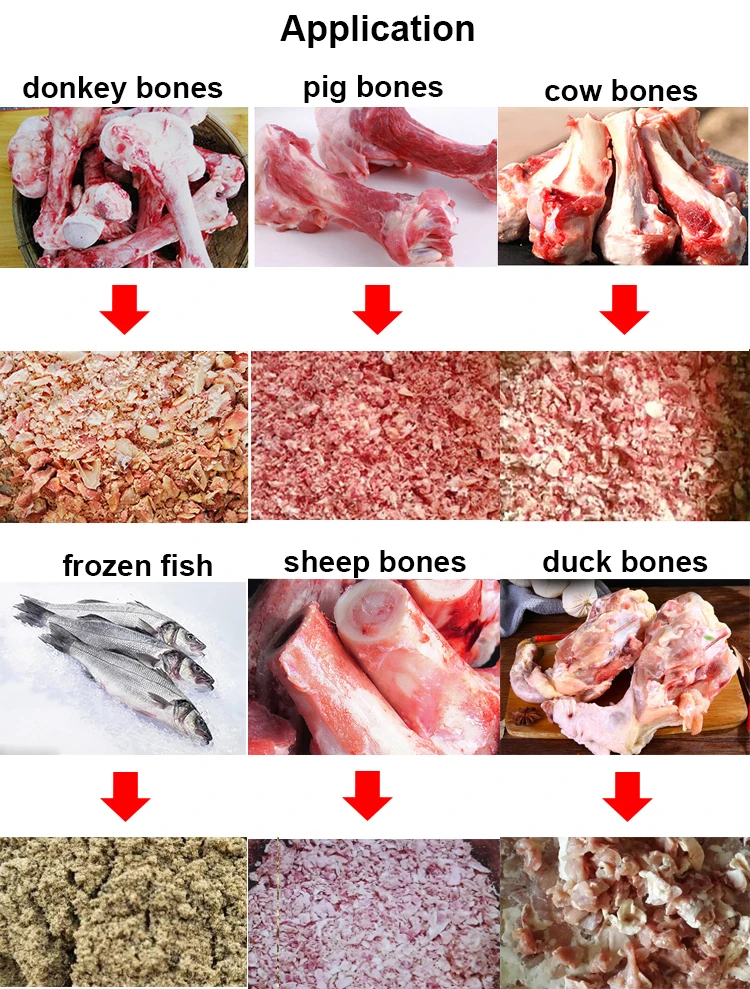 Frozen meat grinder Pork crusher Bone mincing machine