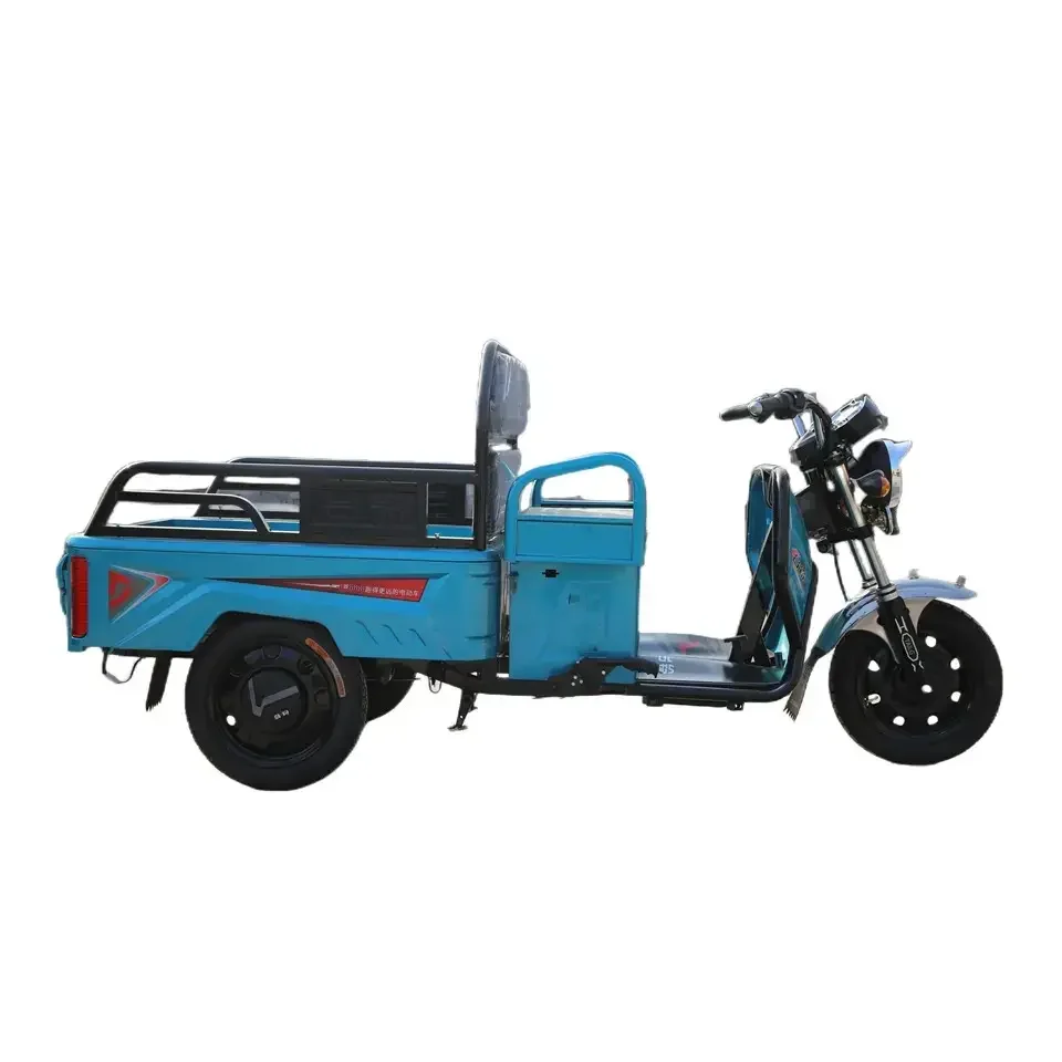 2023 Chinese Manufacturer 1000W High-Power3 wheel Electric Tricycle High Safety Adult Electric Tricycle
