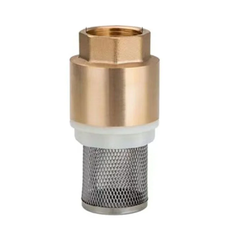 With net bottom valve 4 minutes 6 minutes 1 anti-backflow brass valve straight through filter copper core vertical check valve