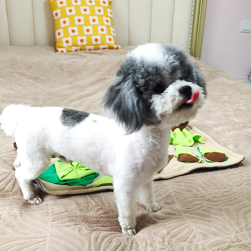 Cross-border e-commerce hot new pet toys cat sniffing puzzle companion sniffing dog odor play mat