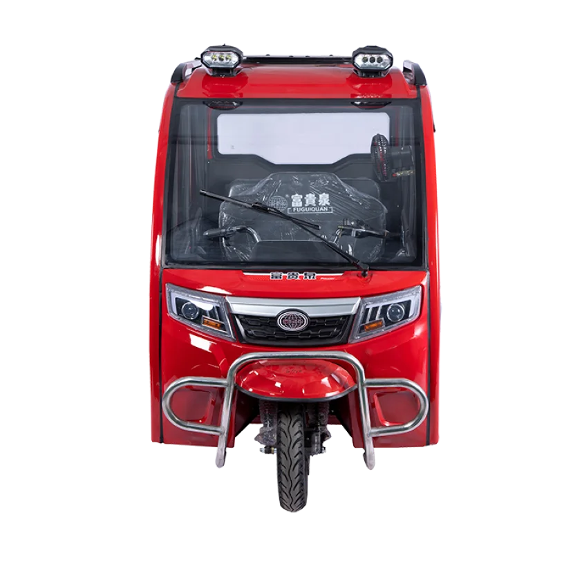Hot Selling Full Enclosed Tuktuk Taxi Tricycle Adult High Safety Tricycle for Transportation 3 Wheels Electric Tricycle