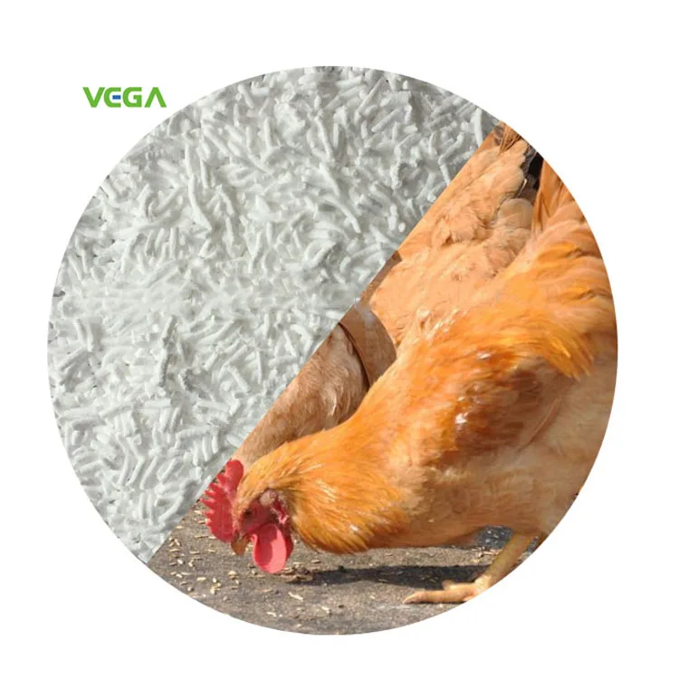 
VEGA China Source Pig Feed Grade 98% Sodium Butyrate Granule Powder 