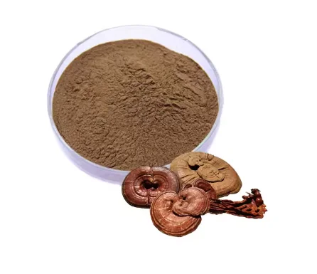 Reishi  Mushroom Powder Extract Polysaccharide Ganoderma Lucidum Extract sample free