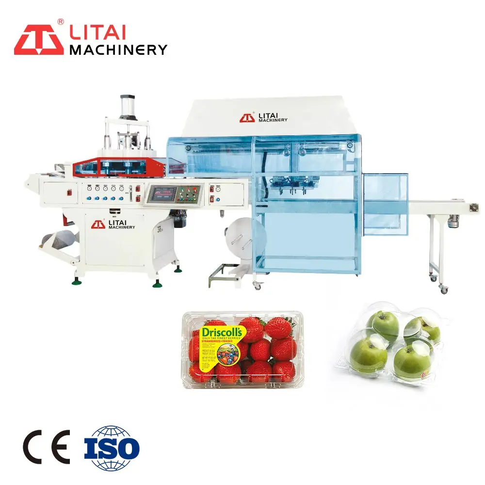 Vacuum Plastic Thermoforming Machine For Fruit Tray