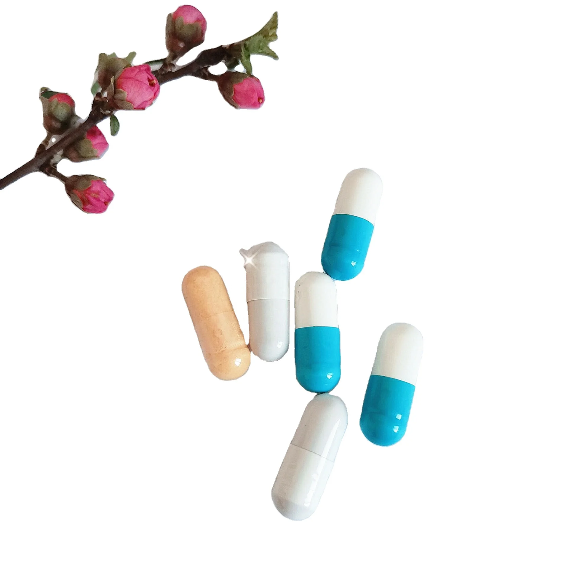 Private Label Nutrition Supplements Organic Milk Thistle Capsule In Herbal Supplement