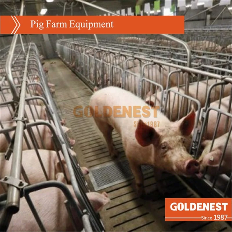 pig raising equipment / pig feeding equipments