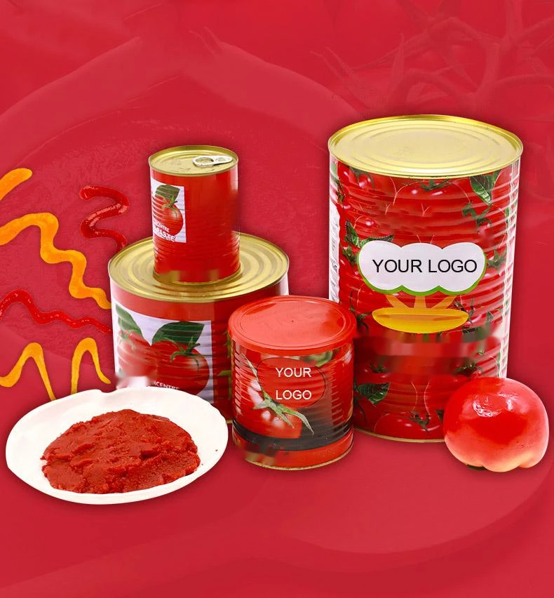 Custom Logo tomato sauce package tomato ketchup 3kg canned tomato paste