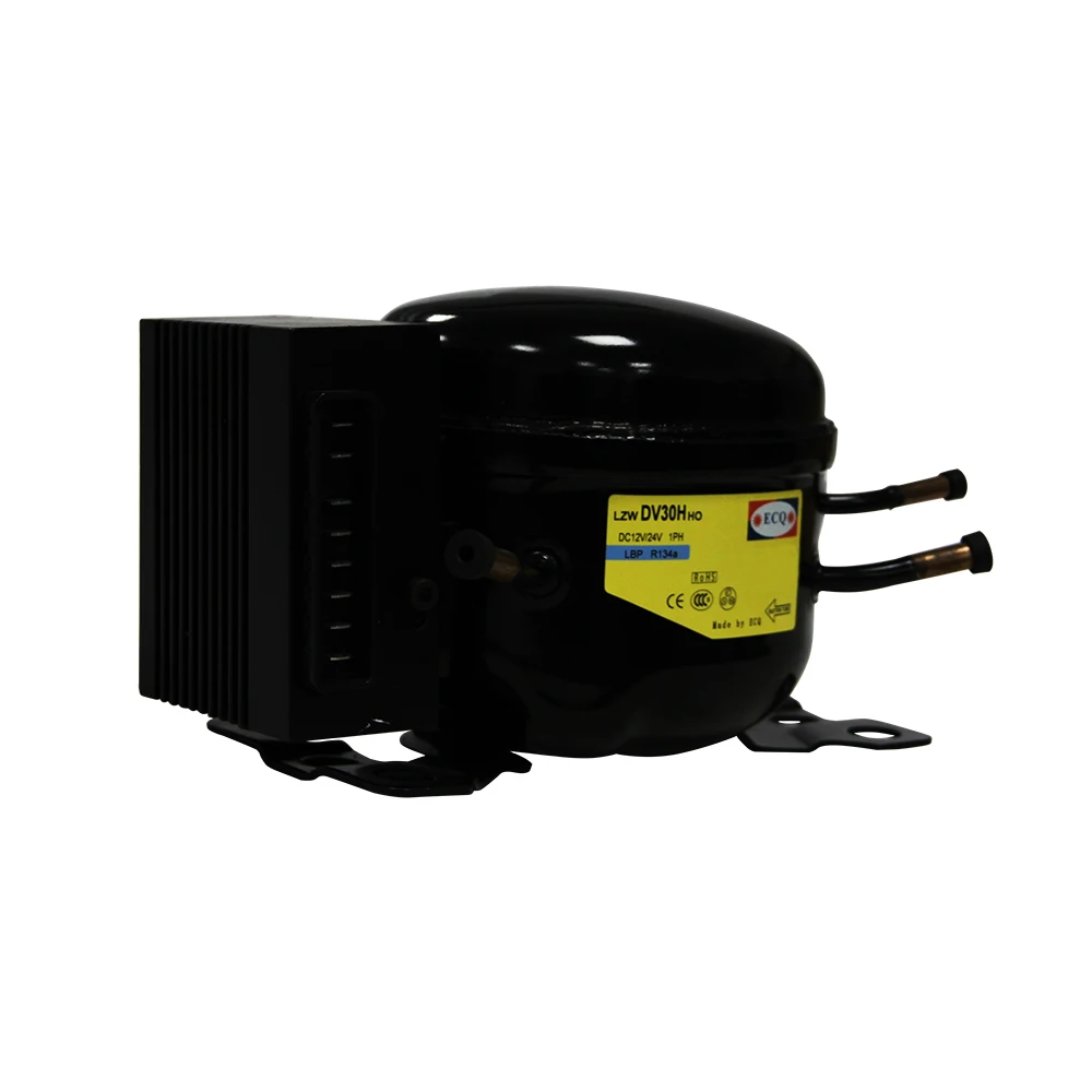 South Africa 24 volt DC Air Conditioner 12v r134a compressors for refrigerators