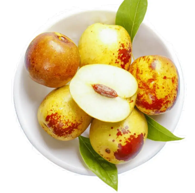 
Crisp Sweet Fresh Round Dates /Winter jujube frutis from Shaanxi China 