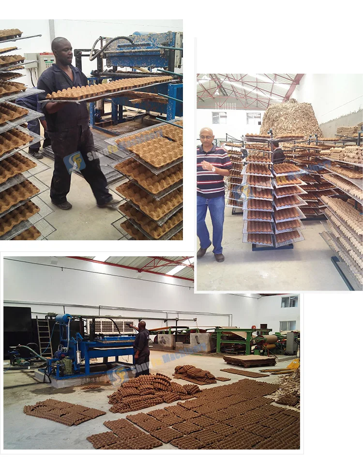 Turkey / Nanya automatic paper egg tray packaging machine factory price