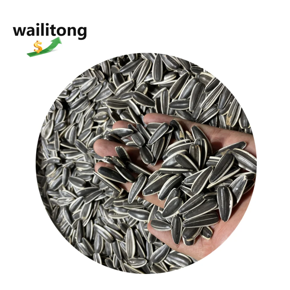 Organic Sunflower Seeds In Shell New Crop Inner Mongolia Raw Sunflower Seeds Cheap 363 Sunflower Seeds  Ton Price