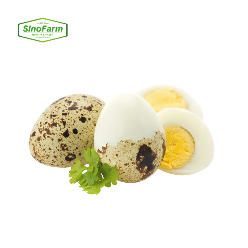 Canned food of caned fresh quail eggs for eating in tins packing in canned sale boiled cans quail egg cartons  in brine