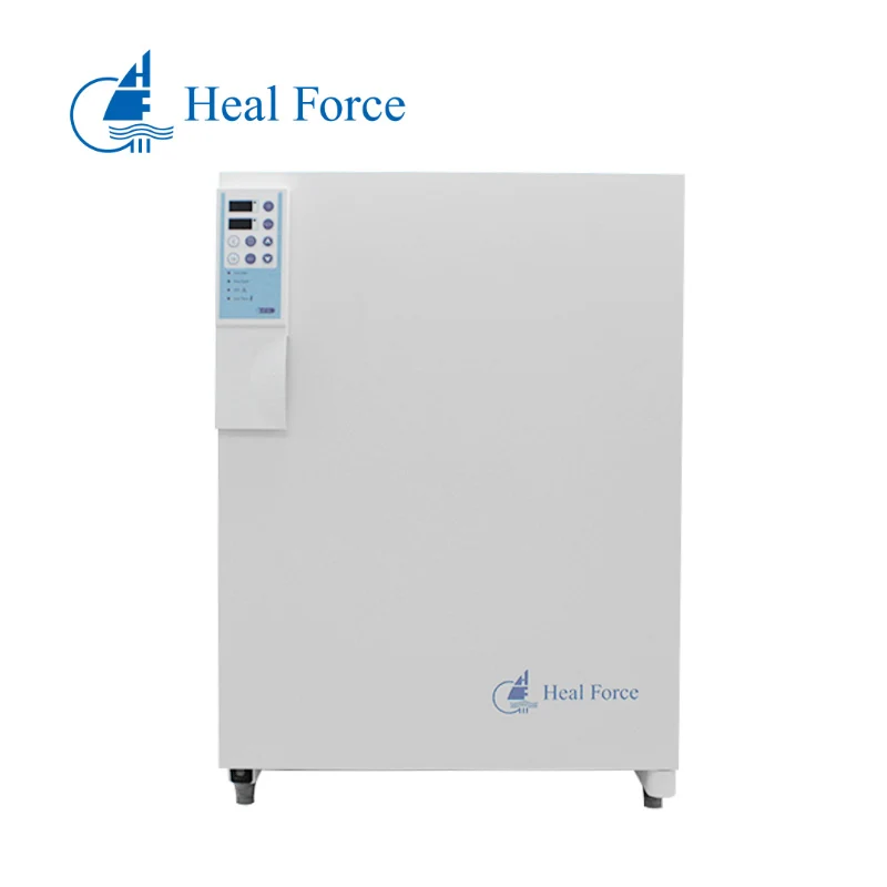 Incubators Cell Culture In Controller Laboratory Thermostatic Devices Mold Pet Brooder Dog Co2 Incubator