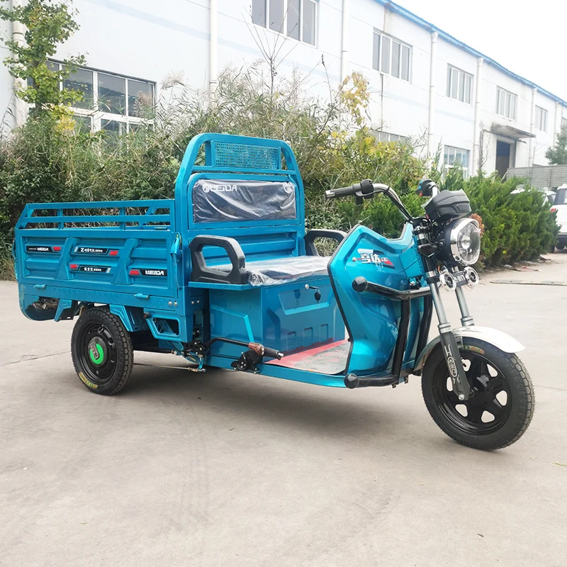 Good Quality Electric Cargo Auto Taxi Rickshaw / Hot Sale Electric Tricycle
