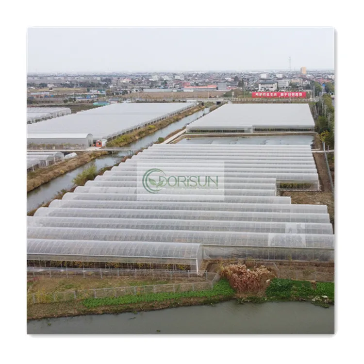 China complete hydrophonic modular garden greenhouse farming hydroponic tomato poly net passive greenhouse sale Pakistan
