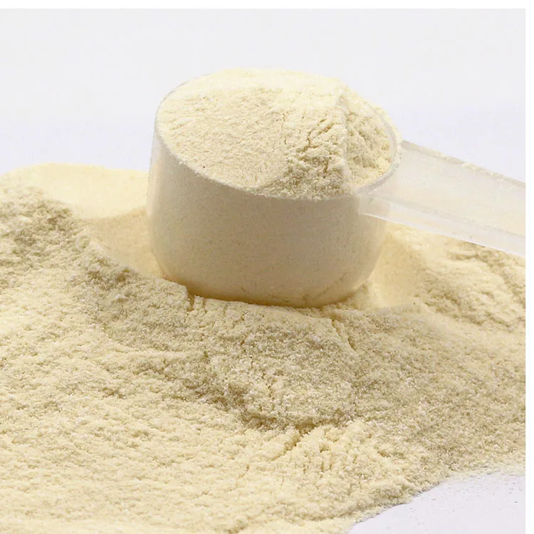 Hot Sale Protein Powder Whey Protein Bodybuilding Sport Nutrition Supplement