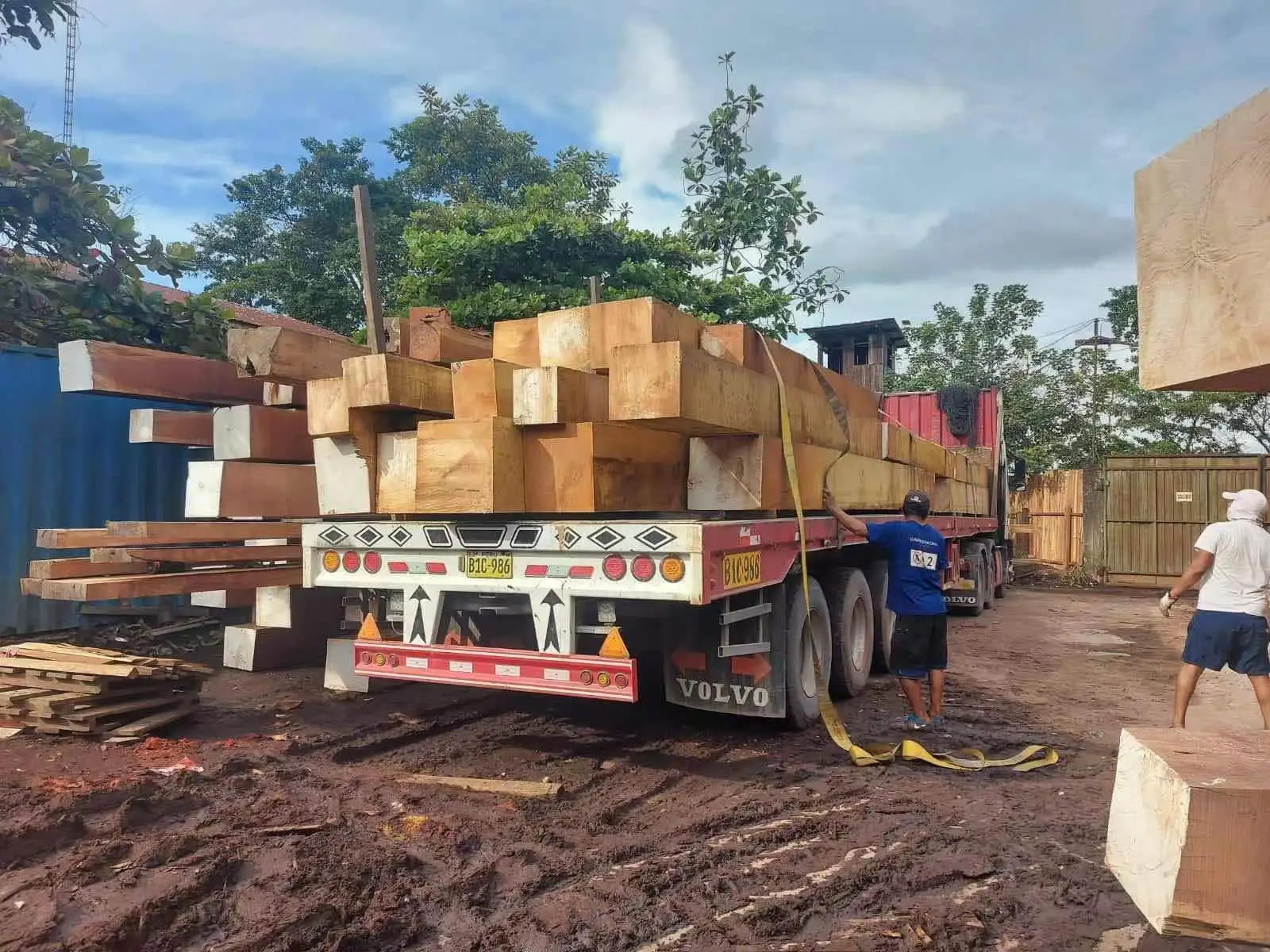 MSH/Mashonaste square logs from peru, High quality with low price