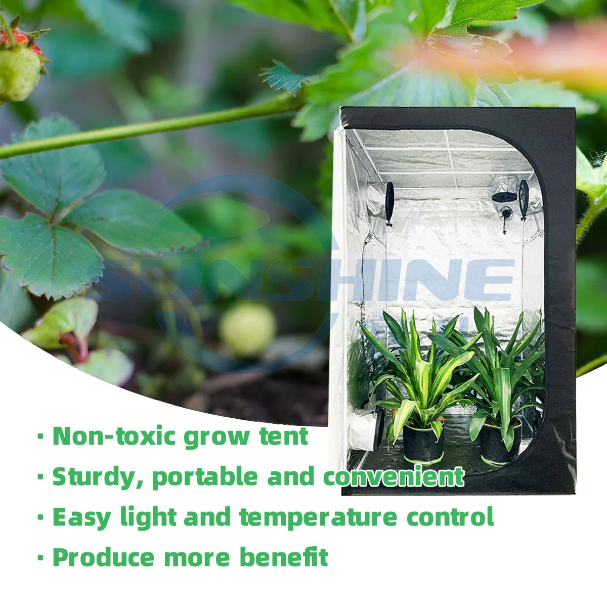 80x80x160 cm Mini Indoor Plant Growth Full Grow Tent Complete Kit Waterproof Metal Frame Grow Box