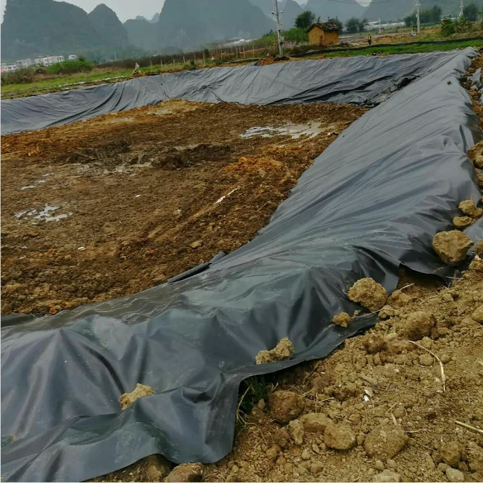 
Cost Effective Bottom Drain With Air Didfuser for liner pond For Sale Approved By ASTM 