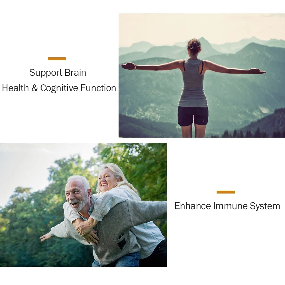 
Customize Organic Cordyceps Herbal Supplement Cordyceps Militaris Mushroom Extract Capsules 