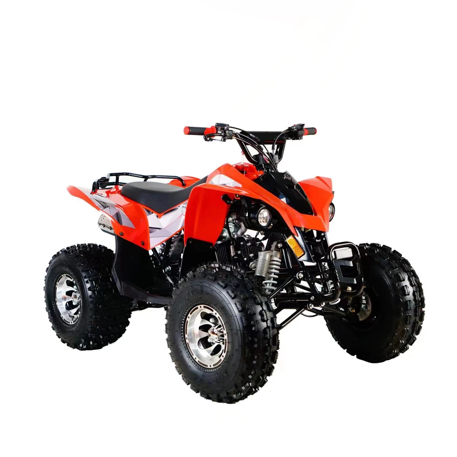 125cc 110cc quad bike atvs 4 wheeler quad for adults