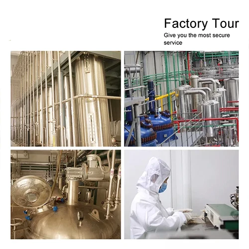 Good Quality Insoluble PVPP/ Crospovidone Powder CAS 25249-54-1 used as stabilizer for beer and wine making