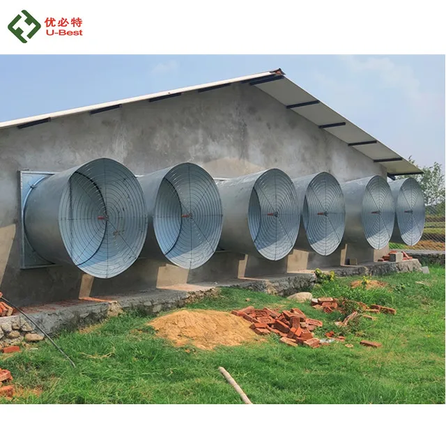 Современный дизайн 2022, туннельное вентилируемое оборудование для птицефабрик нового типа для сборщика бройлеров, куриц