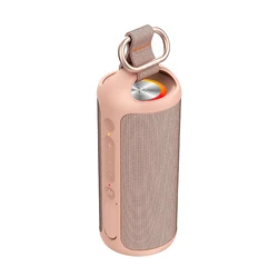 Colorful RGB Light Audio Subwoofer Portable Wireless Waterproof IPX7 Party Music Boombox BT Wireless Speaker