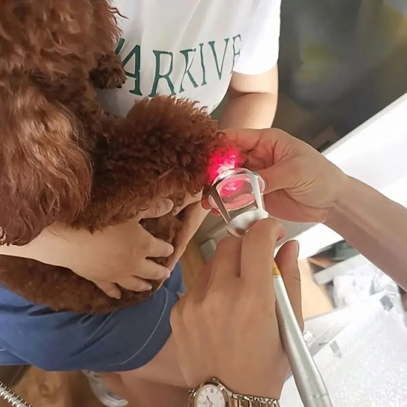 High Quality Good Price 7 Inch Screen MSLLV02 Veterinary Laser Therapy equipment