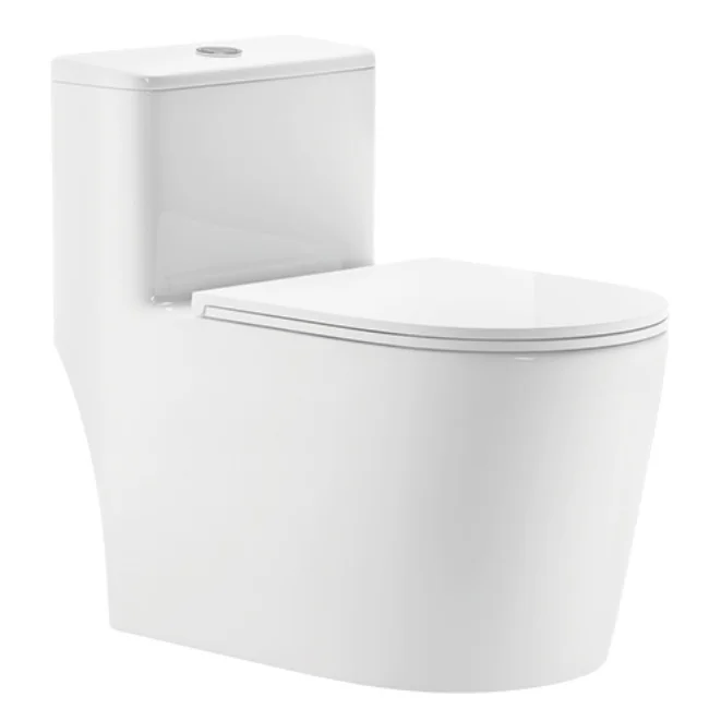 Hot-Selling modern One-Piece Siphonic Ceramic Toilet Dual-Flush Floor Mounted Hotels Bathrooms Villas-300mm S-trap Roughing-in