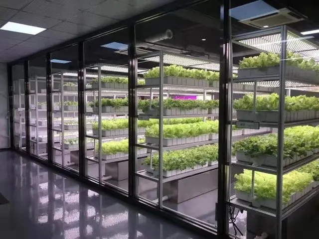 Nursery ABS Plastic Ebb Fodder Hydroponic Trays,4*8 Large Flood Grow Table For Indoor Vegetable