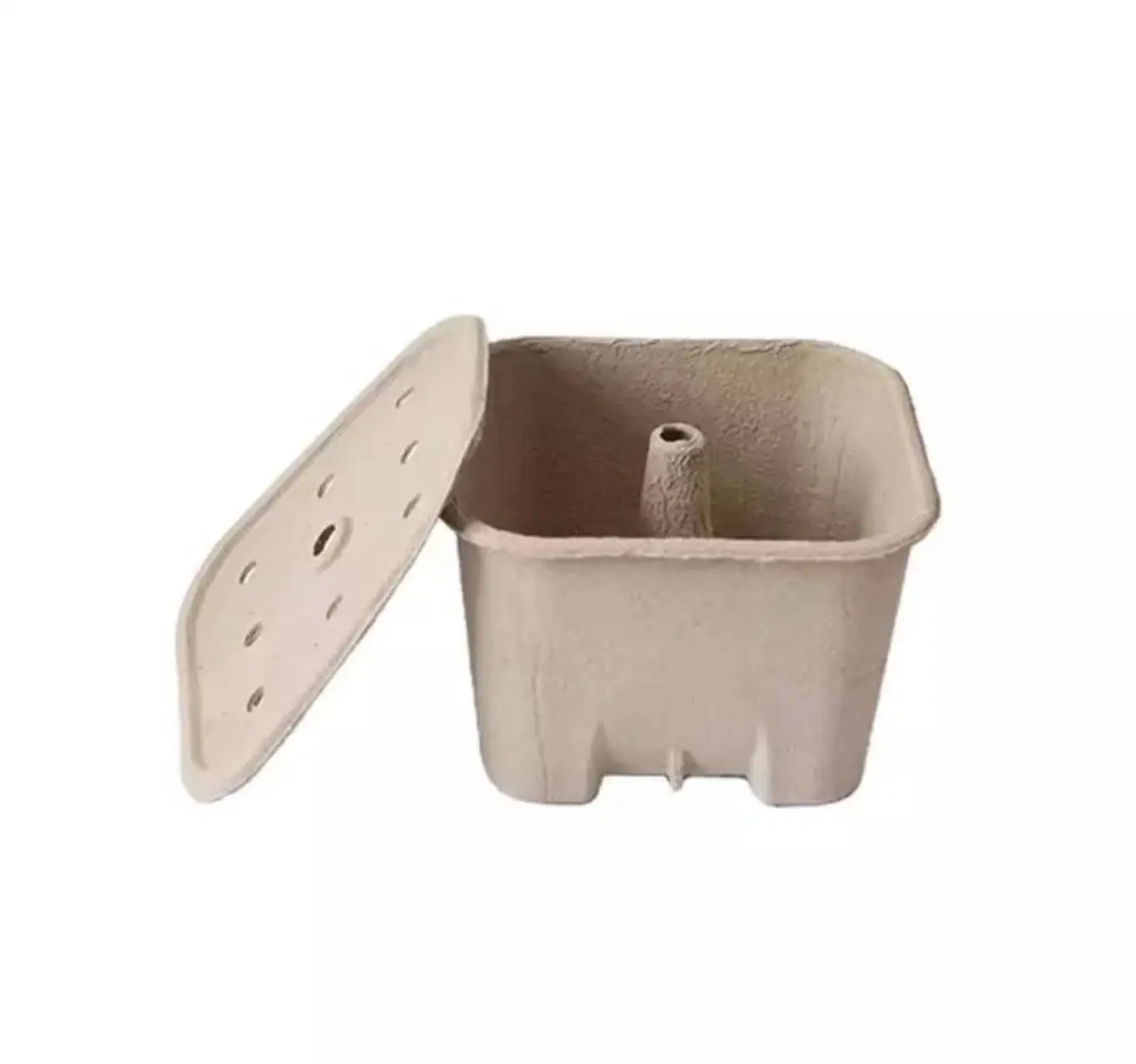 Biodegradable Disposable Charcoal Barbecue paper Box Pulp molded Container Box