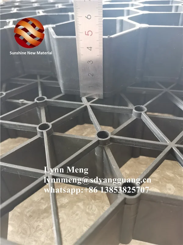 Plastic Grass Paver / landscape turf grass paver / grass grid for driveway