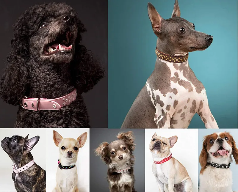 Wholesale Luxury Designer Strong Nylon  Dog Collar With Waterproof Rubber And Metal Hardware