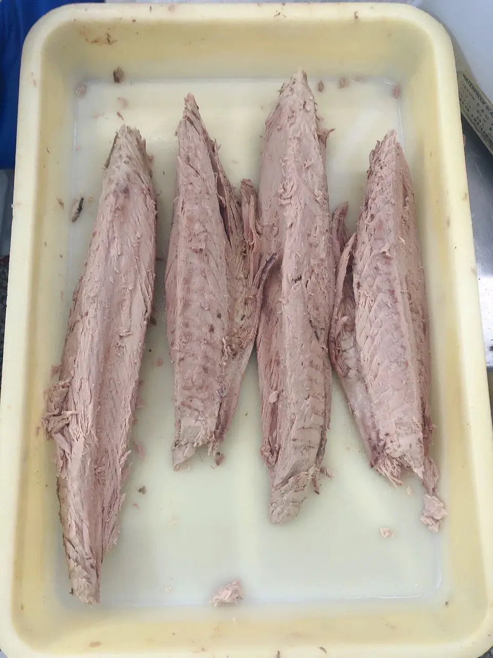 Seafood Low-Fat Nutritious Frozen Yellowfin Tuna fresh chilled yellowfin tuna loins suppliers