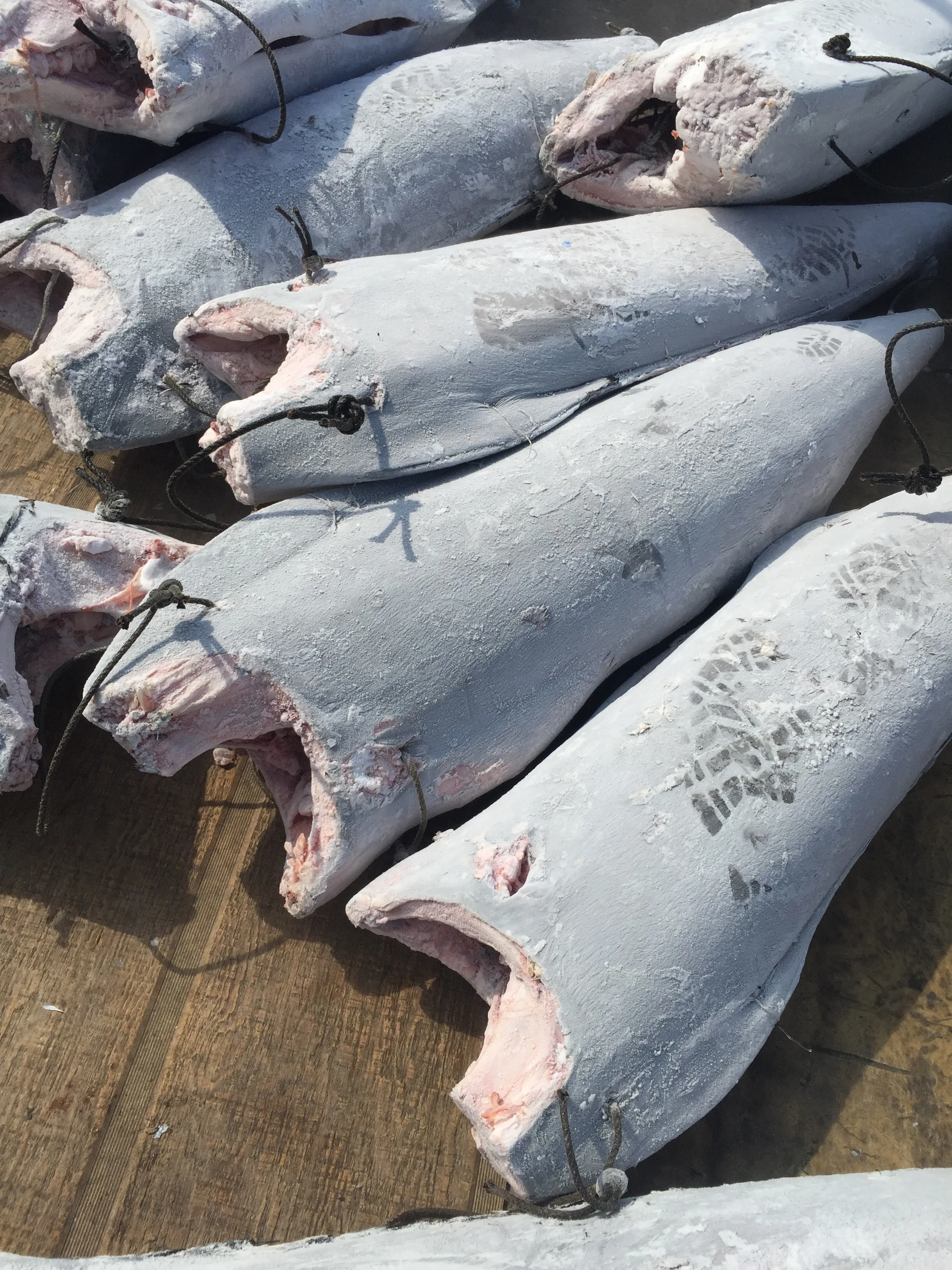 
2020 Wholesale IQF frozen Blue Marlin for fresh seafood 