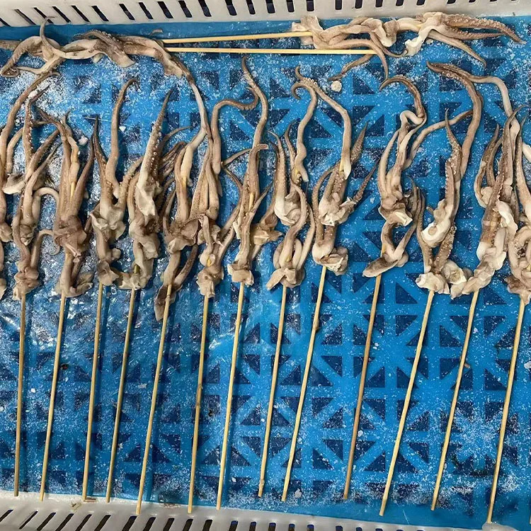dried squid tentacle slice China Manufacturer Good Quality Factory Price Custom Frozen squid skewers