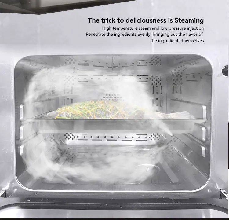 Premium Electric Air Fryer Oil Free Deep Air Frying Steam Air Fryer Oven Combo All in one