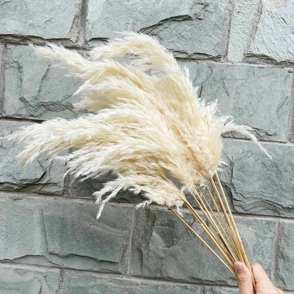Cheapest decor flower natural pampas grass & dried reed straw grass for home decoration
