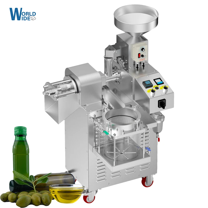 20kg/h Capacity Heat and Cold home oil press machine pinenut, almond soy bean olive oil press machine high oil extraction rate