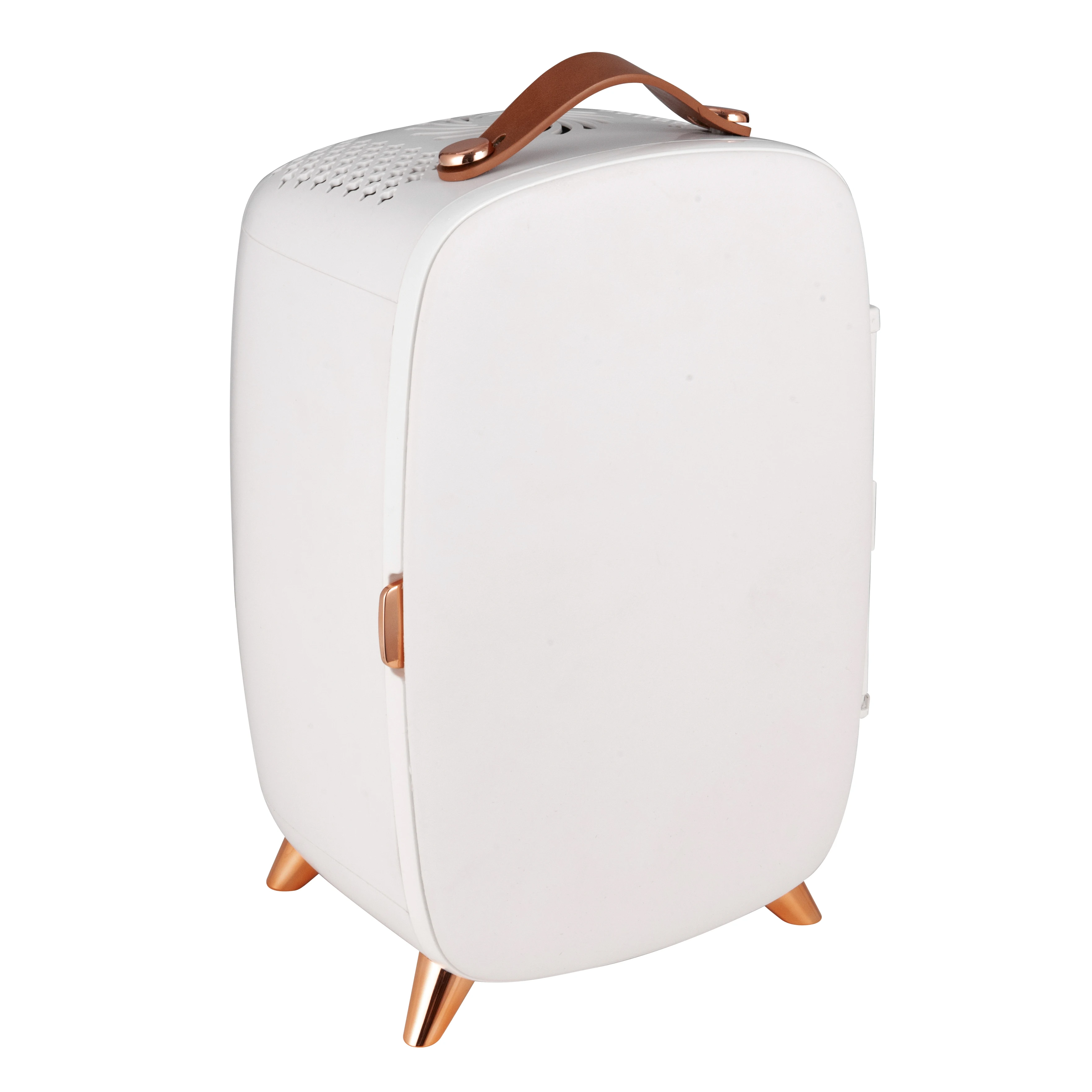 6L vertical electroplated foot pad mini refrigerator with leather handle mini refrigerator