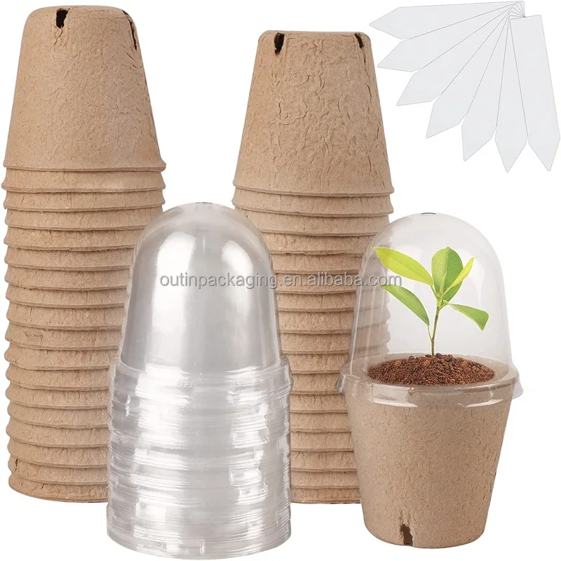100% Eco-Friendly Biodegradable mold pulp Customized molded Paper Pulp Packaging paper Nursery cup seeding tray with dome