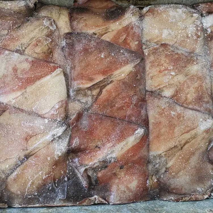 Guaranteed quality proper price China factory frozen giant squid wings