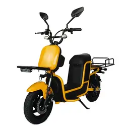 China 2 Wheel Fat Tire 1000w Pedal Electric Family Bicycle E-Bike Scooter Electric Cargo Bike