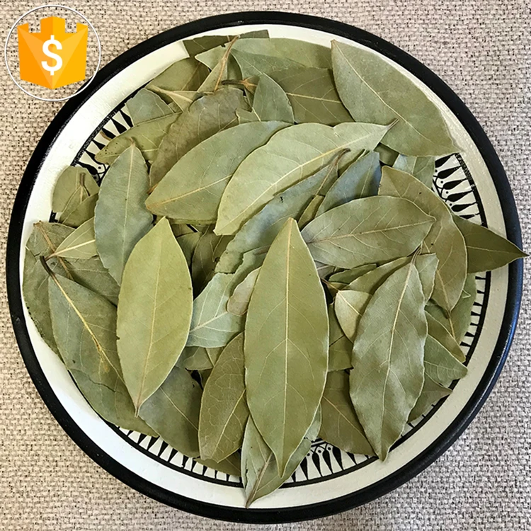 custom drying bay leaves laurel whole1kg spice bay leaf wholesalers